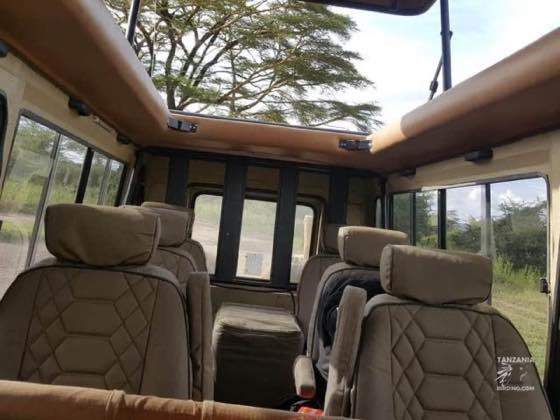 遊獵車內部，可見獨立座椅與敞開的車頂天窗，窗外是相思樹